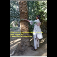 29586 05 0073 Dattelpalmen-Plantage, Al Ain, Abu Dhabi, Emirate 2017.jpg